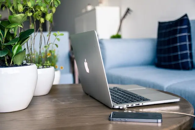 How Home Tech Experts Help You Create a Smarter Garden